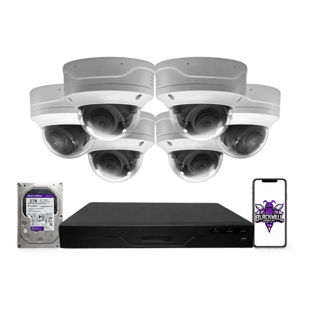 Montavue 8MP Vandal-Proof Dome Bundle (MND-8-101) | 8-Channel Smart NVR + 1TB — BGI logo on phone screen