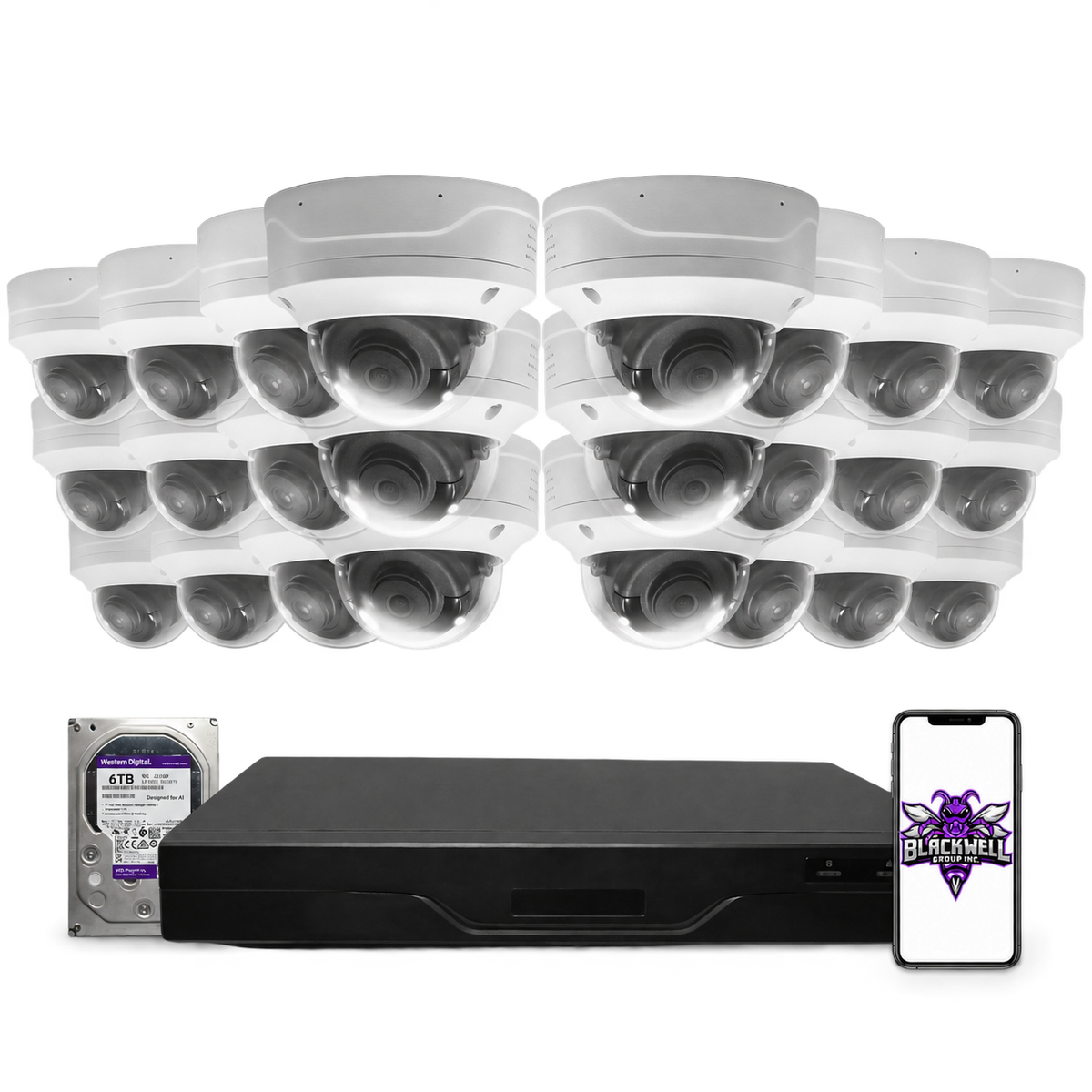 Montavue 8MP Vandal-Proof Dome Bundle (MND-8-101) | 32-Channel Pro NVR + 6TB — BGI logo on phone screen