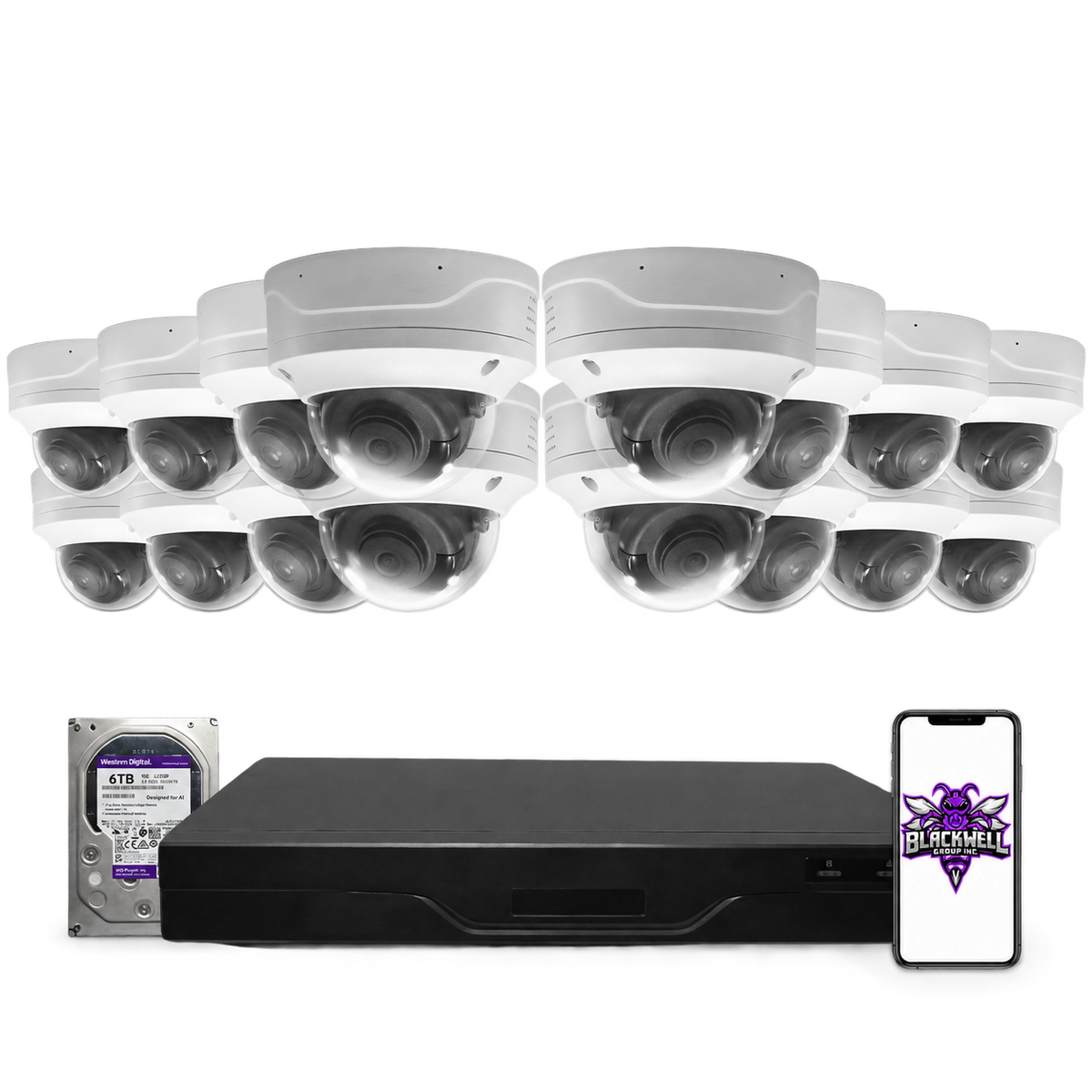 Montavue 8MP Vandal-Proof Dome Bundle (MND-8-101) | 32-Channel Pro NVR + 6TB — BGI logo on phone screen
