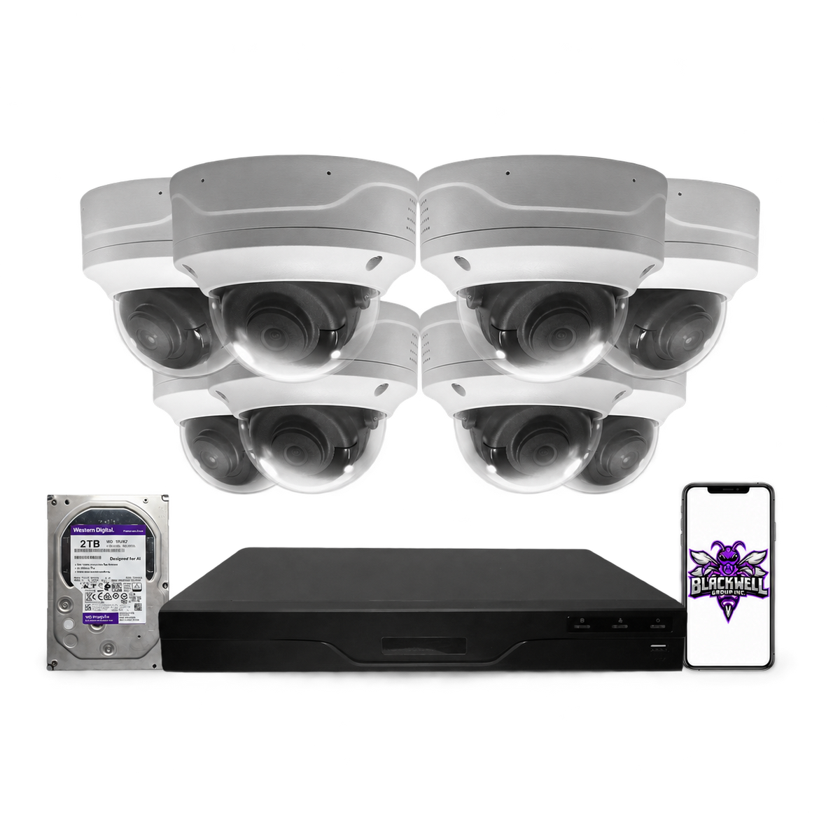 Montavue 8MP Vandal-Proof Dome Bundle (MND-8-101) | 8-Channel Pro NVR + 1TB — BGI logo on phone screen