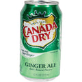 Green ginger-ale-can-style diversion safe.